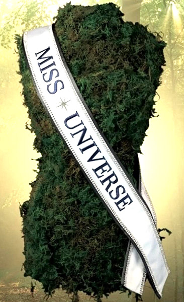 New Miss Universe sash