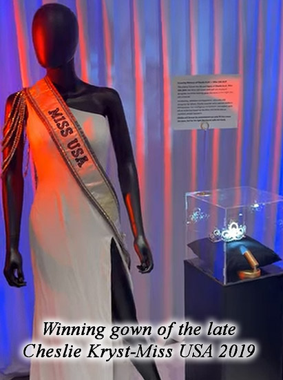 Gown of Cheslie Kryst